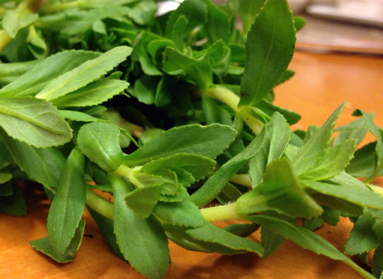 hinh anh bai thuoc nam tri soi than 5.jpg