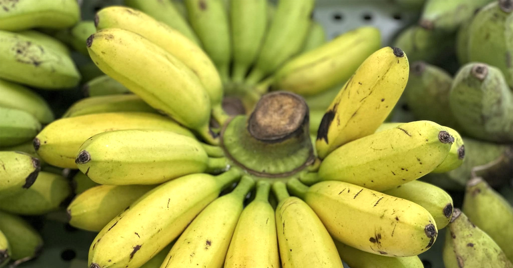 Một thay đổi khi ăn có thể đảo ngược huyết áp cao