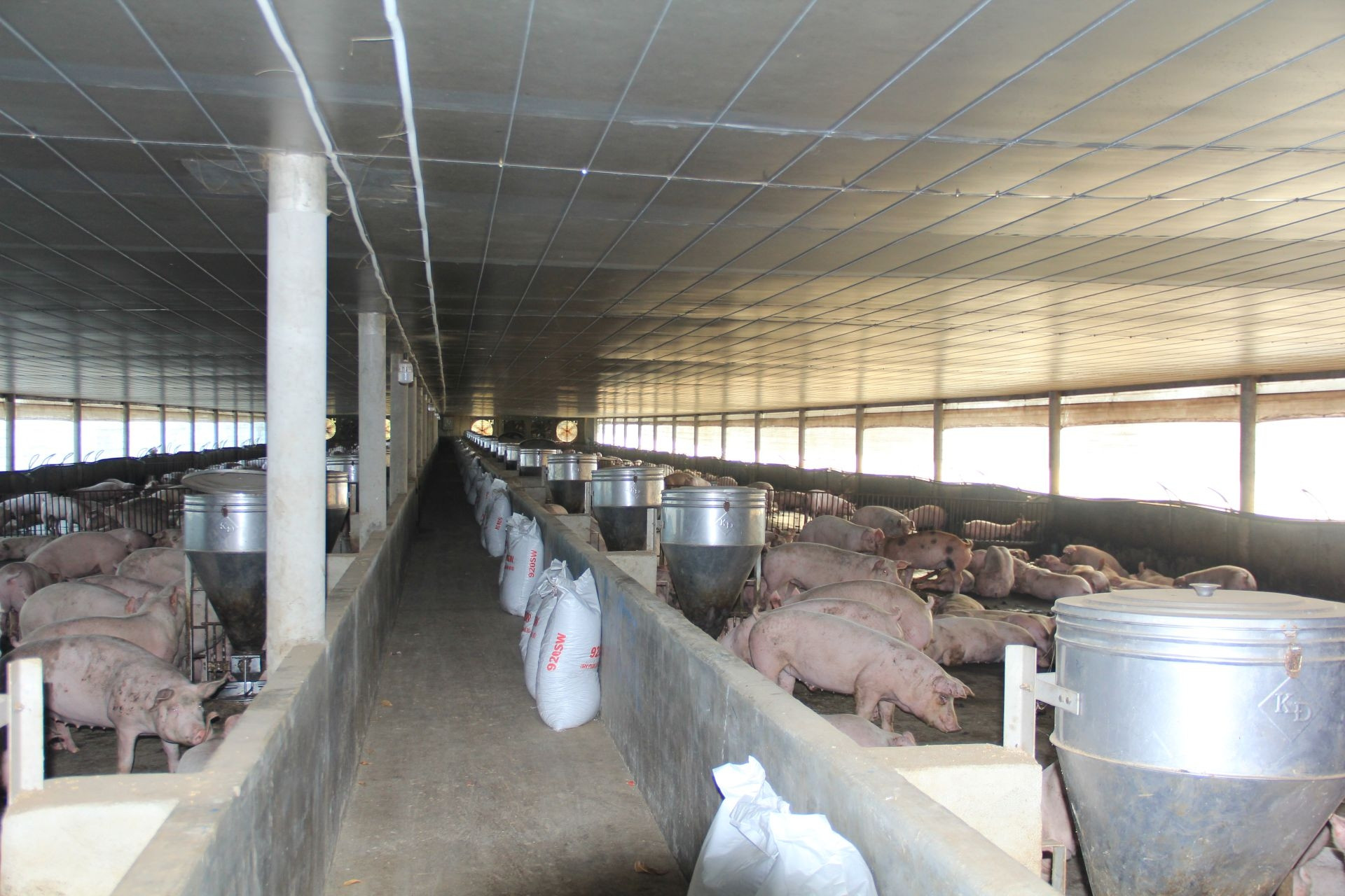 Ninh Bình ứng dụng công nghệ thông tin nâng hiệu quả dự báo thị trường nông sản