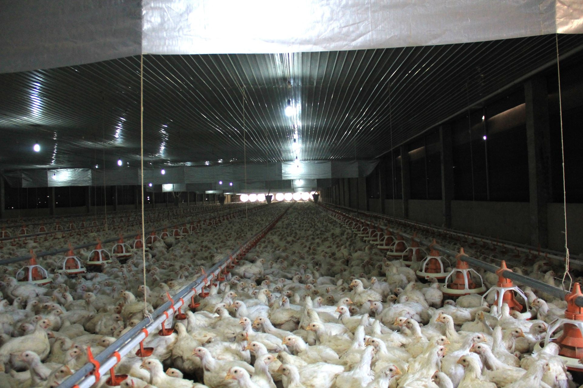 Tây Ninh ứng dụng công nghệ thông tin nâng năng lực dự báo thị trường nông sản