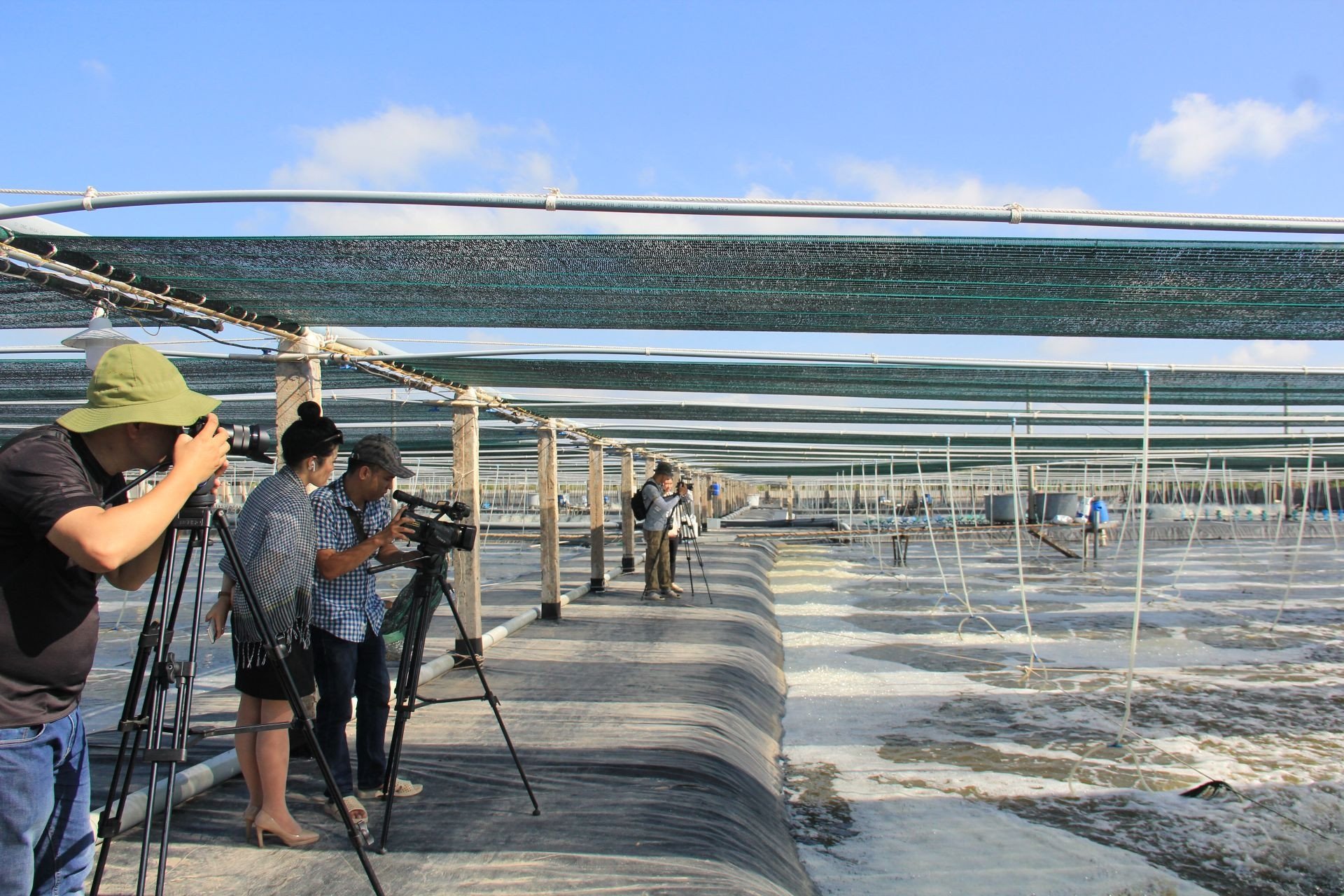 Ứng dụng công nghệ thông tin nâng hiệu quả dự báo thị trường tôm