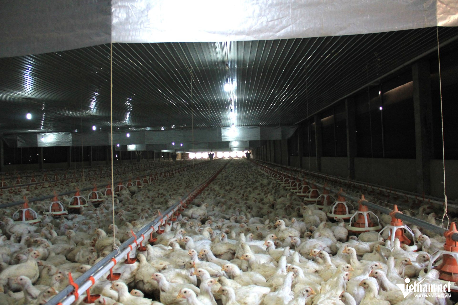 W-20. 1.9 Tây Ninh Ứng dụng công nghệ thông tin nâng năng lực dự báo thị trường nông sản.JPG.jpg