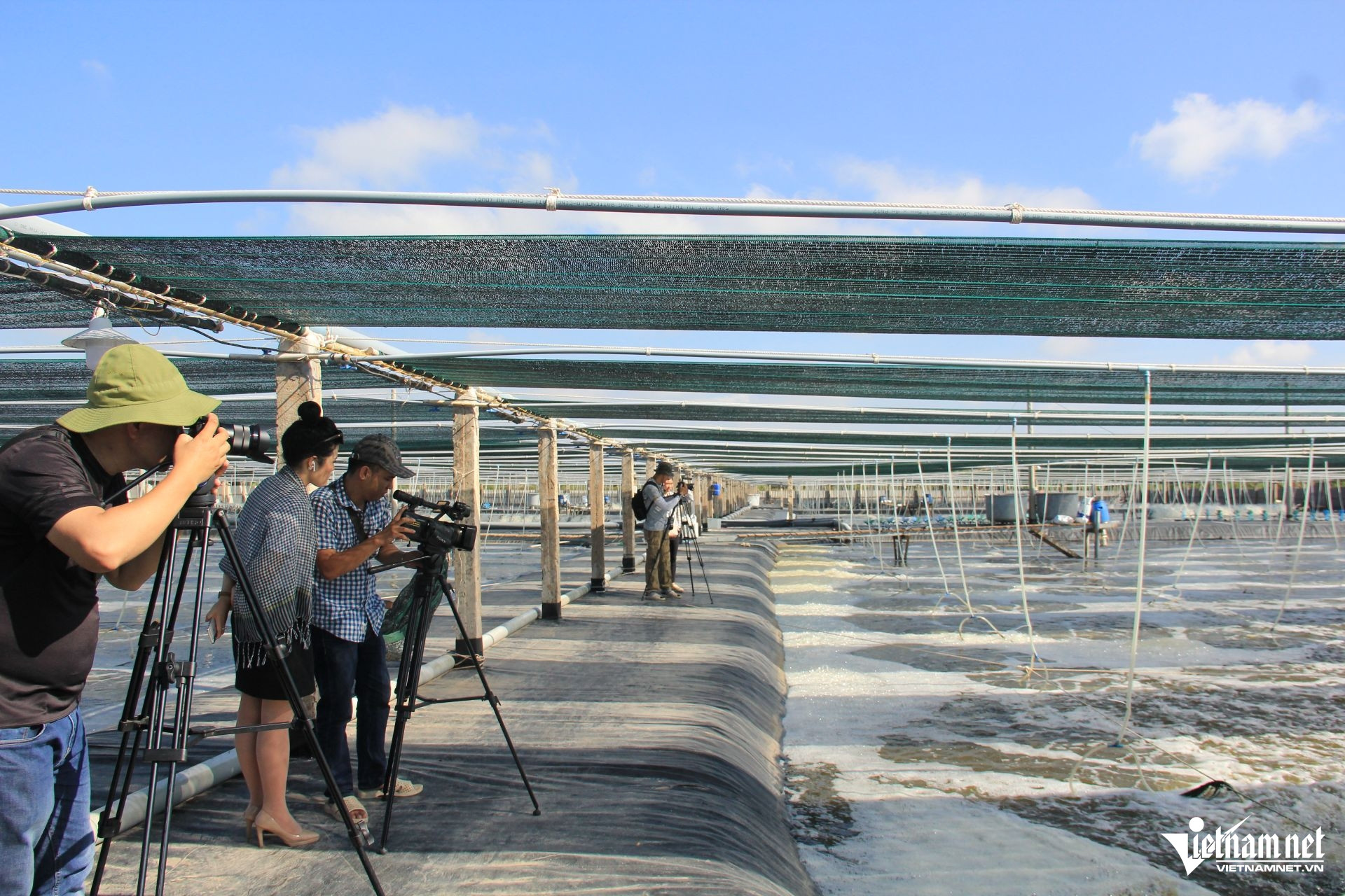 W-20. 31.12 Cà Mau Ứng dụng công nghệ thông tin nâng hiệu quả dự báo thị trường tôm.jpg