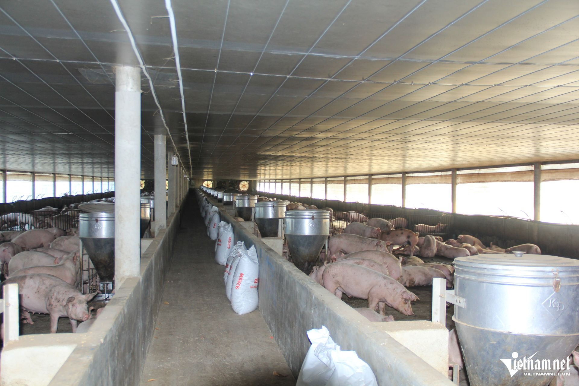 W-20. 31.12 Ninh bìnhỨng dụng công nghệ thông tin nâng hiệu quả dự báo thị trường nông sản.JPG.jpg