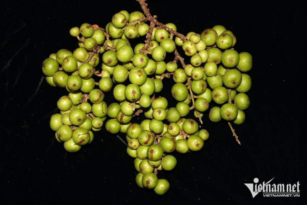 W-92949a29 1e8f 459e aa1c 40e107d19b09.jpeg