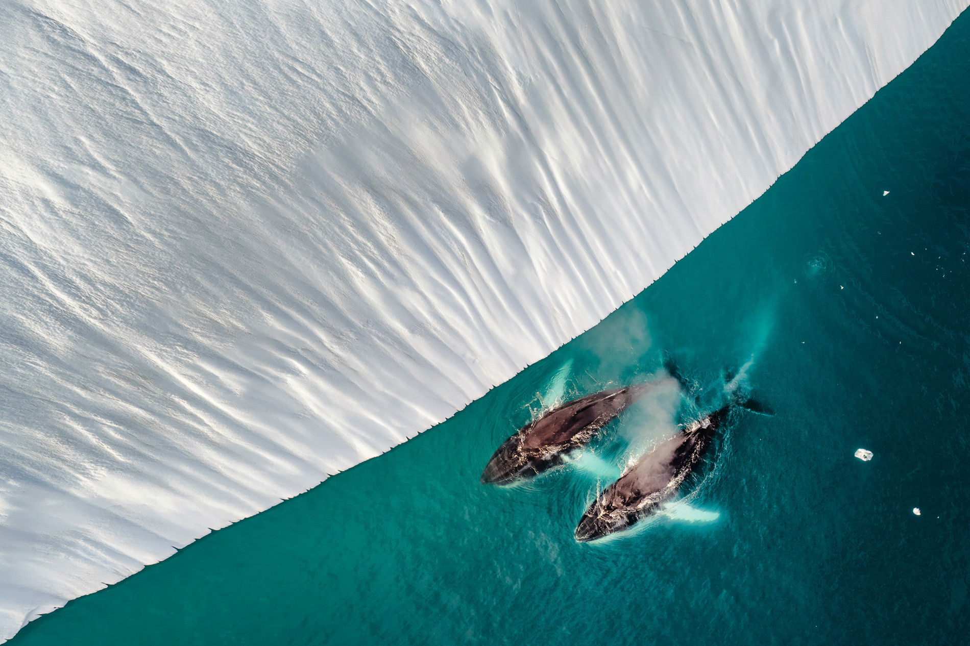 Khách Việt ghé 'hòn đảo lớn nhất thế giới', ngắm cá voi và mặt trời lúc nửa đêm ladakh 3.jpg