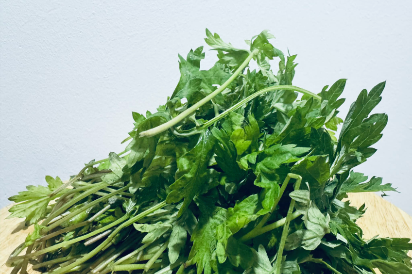 Loại cây mọc đầy bờ bụi ở quê lại là 'thần dược' trong mùa đông