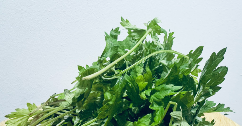 Loại cây mọc đầy bờ bụi ở quê lại là "thần dược" trong mùa đông