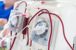 Làm đẹp ra mắt nhà người yêu, cô gái phải cầu cứu bác sĩ YwAAAAAAQABAAACAUwAOw==