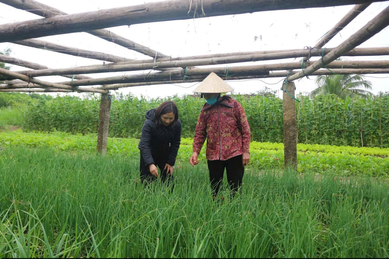 Lai Châu đẩy mạnh chuyển đổi số, hỗ trợ dự báo và tiêu thụ nông sản