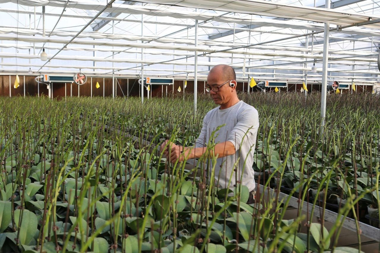 Lào Cai: Số hóa nông nghiệp để giải bài toán dự báo thị trường nông sản