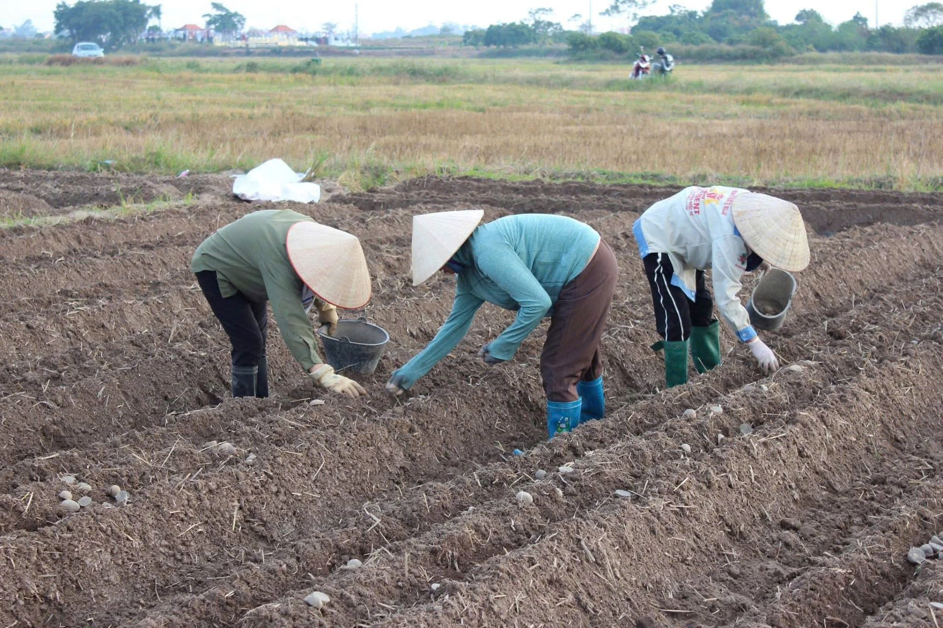 Nâng cao năng lực tiếp cận pháp luật cho người dân vùng khó khăn