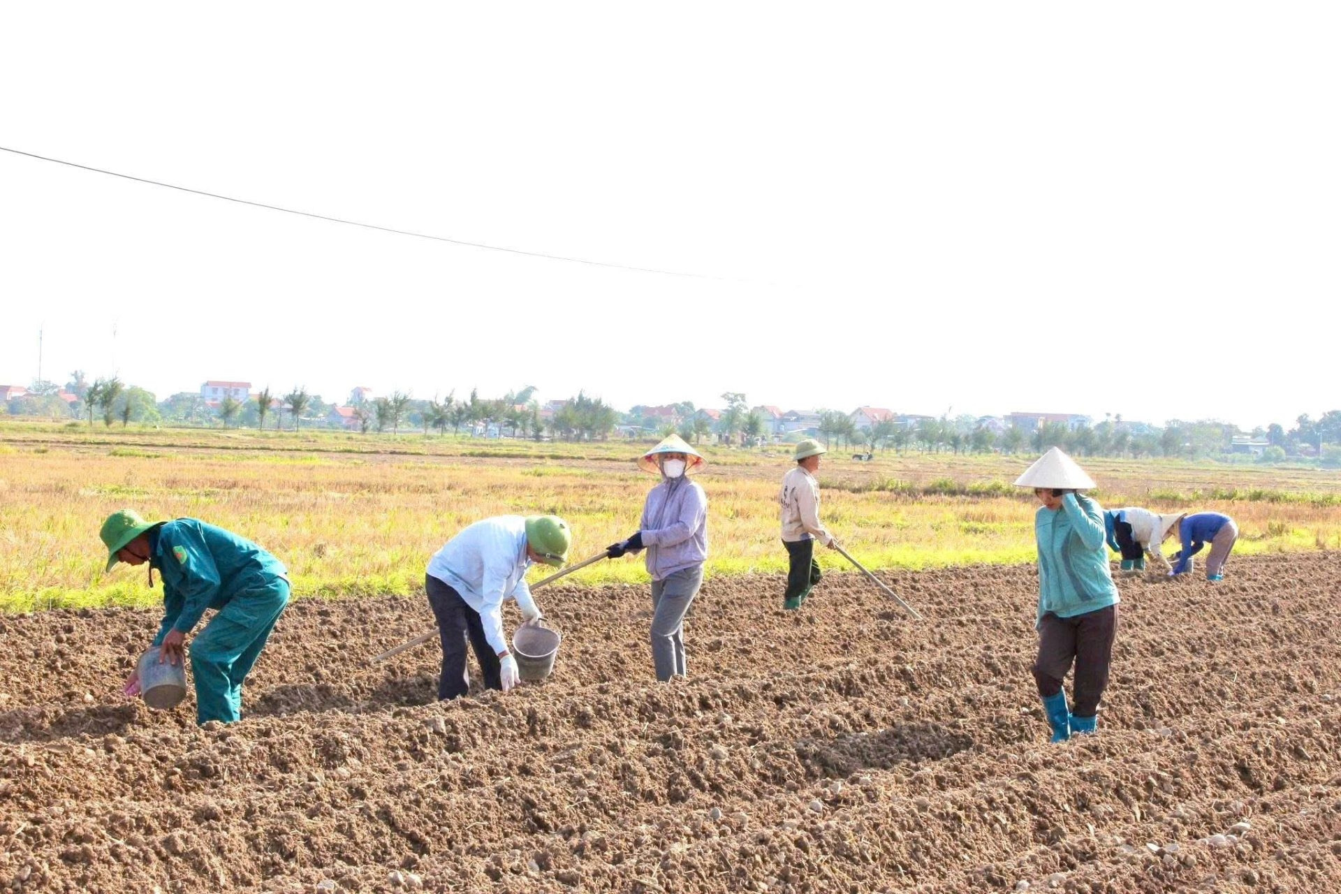 Tăng cường tiếp cận pháp luật ở nông thôn: Nền tảng quản trị bền vững