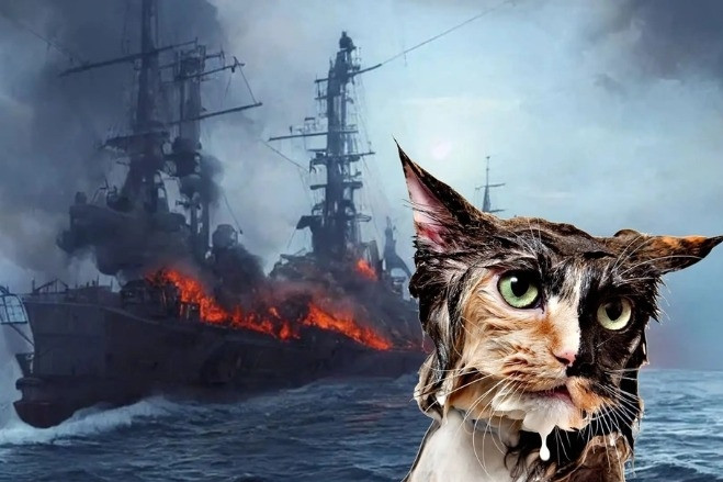 Huyền thoại về chú mèo từng 3 lần thoát chết trên các chiến hạm bị đánh đắm