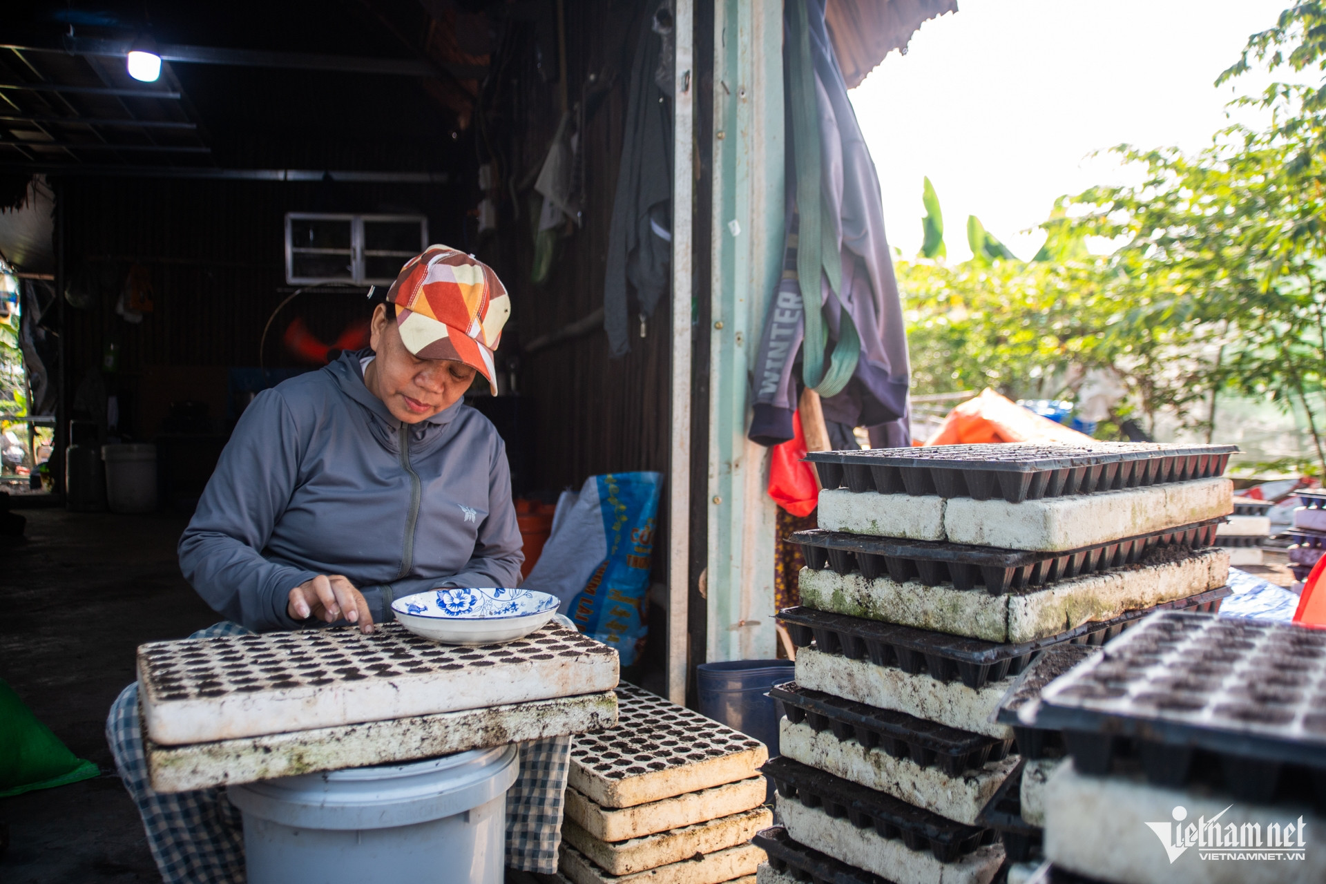 W-Hoa Tuấn Hùng 13.jpg