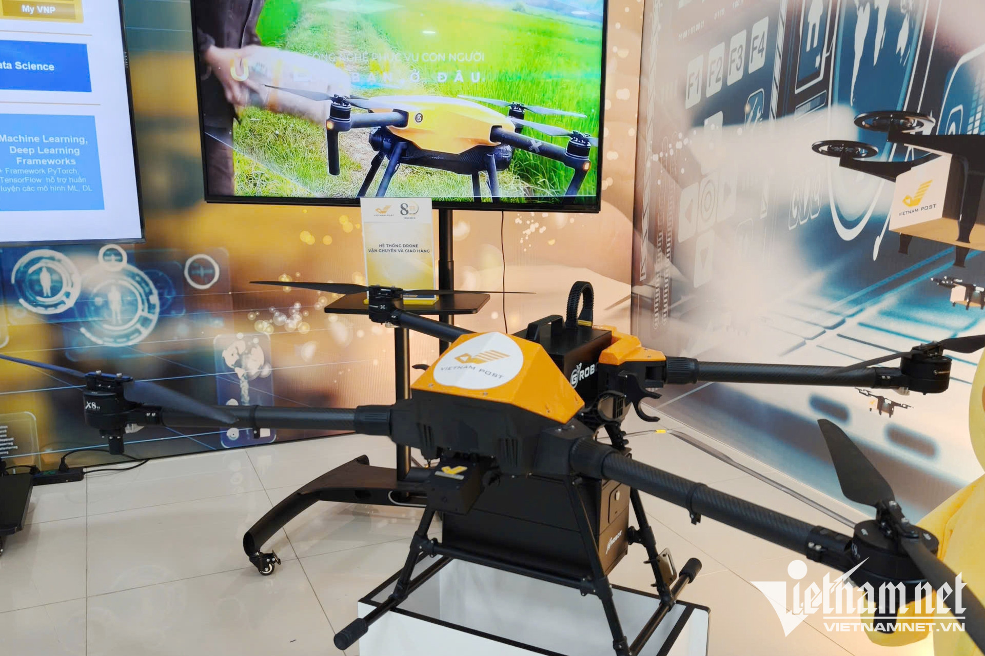 W-kinh te tam thap Viet Nam 01 1.jpg