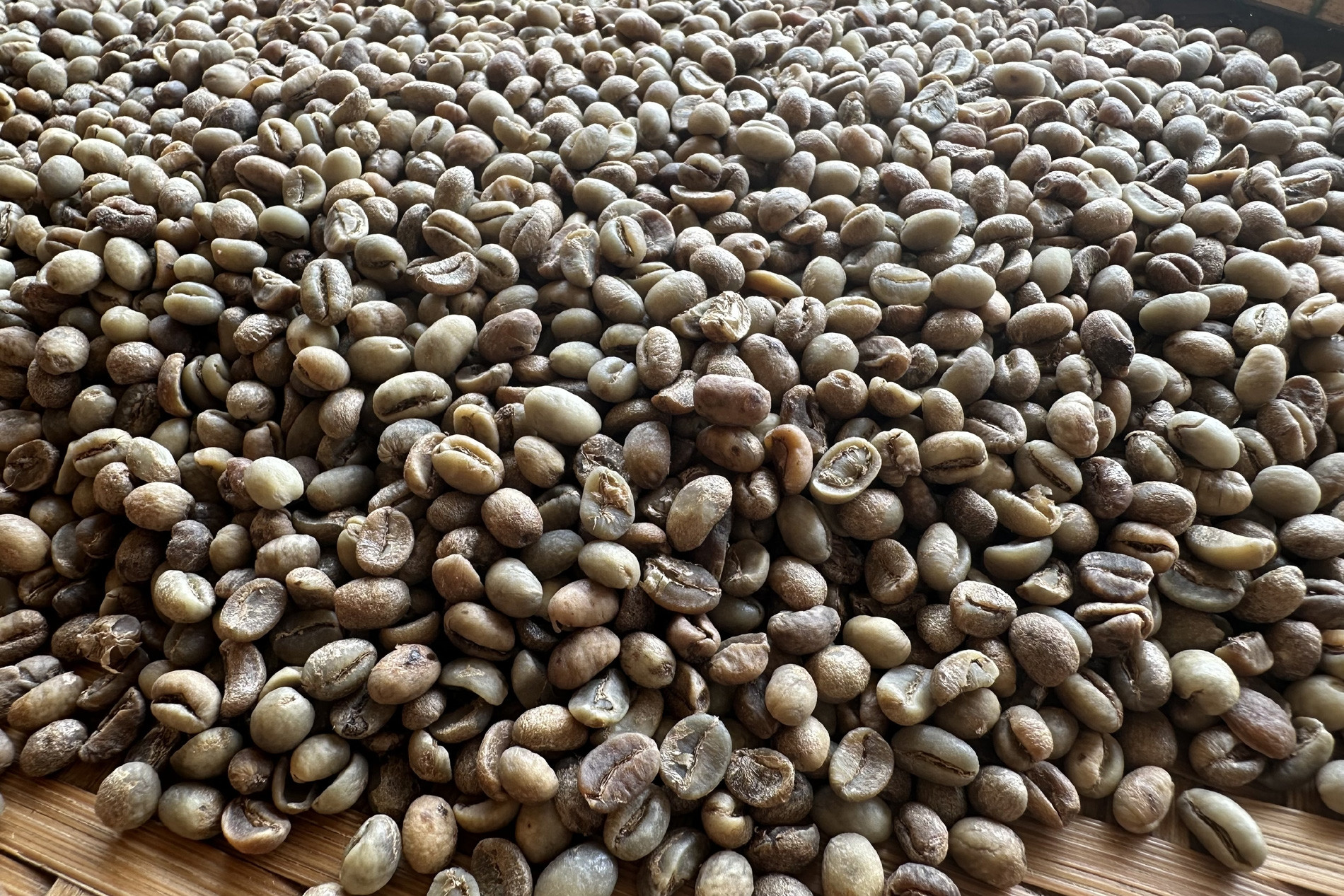 Chỉ 15 ngày đầu năm, doanh nghiệp bán một loại hạt thu về hơn 430 triệu USD