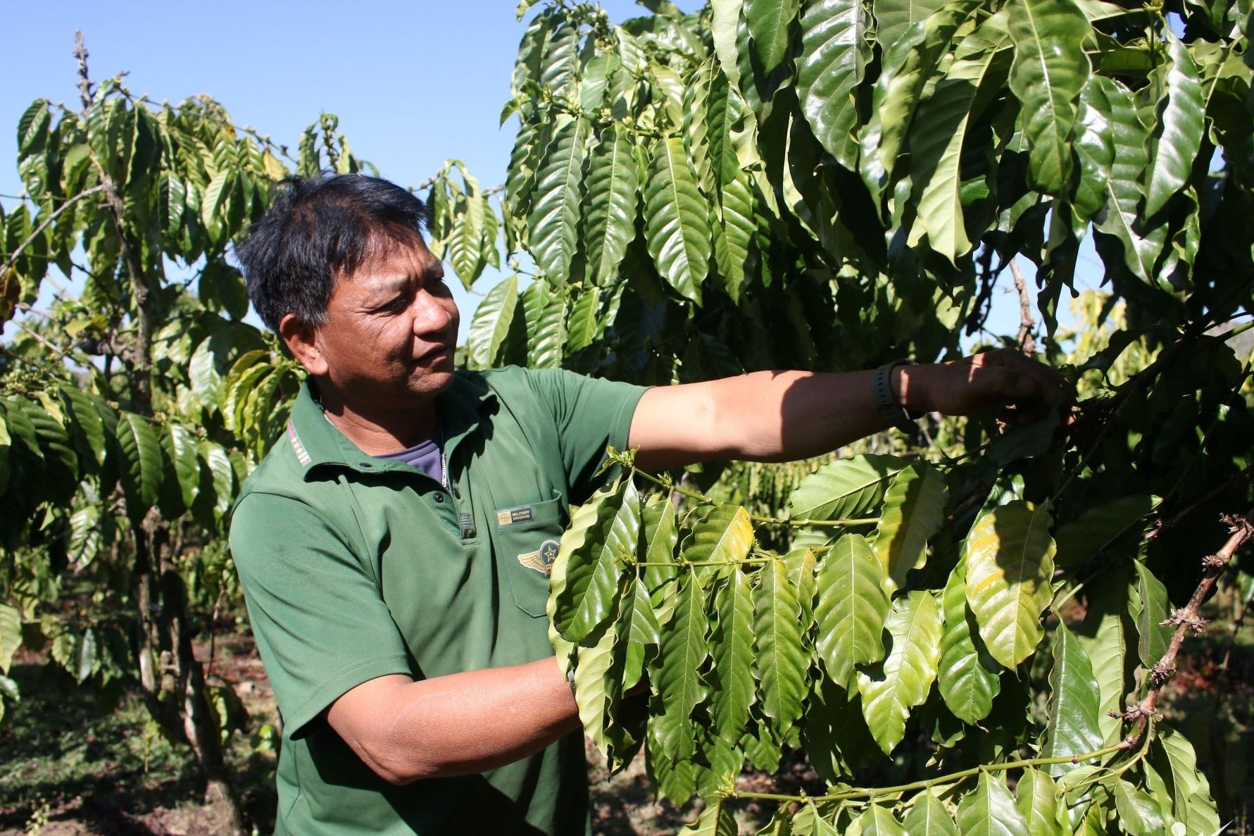 Đảng viên lan tỏa khát vọng vươn lên ở vùng cao Ngọk Réo