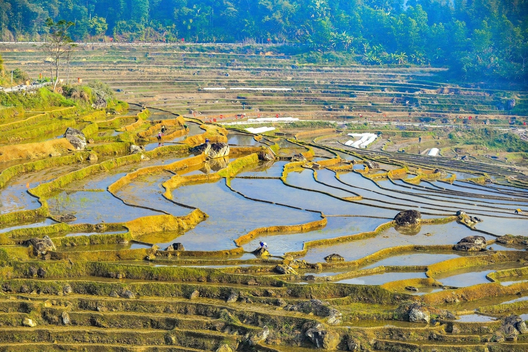 Khách Tây thích thú check-in ruộng bậc thang mùa đổ nước ở Pù Luông