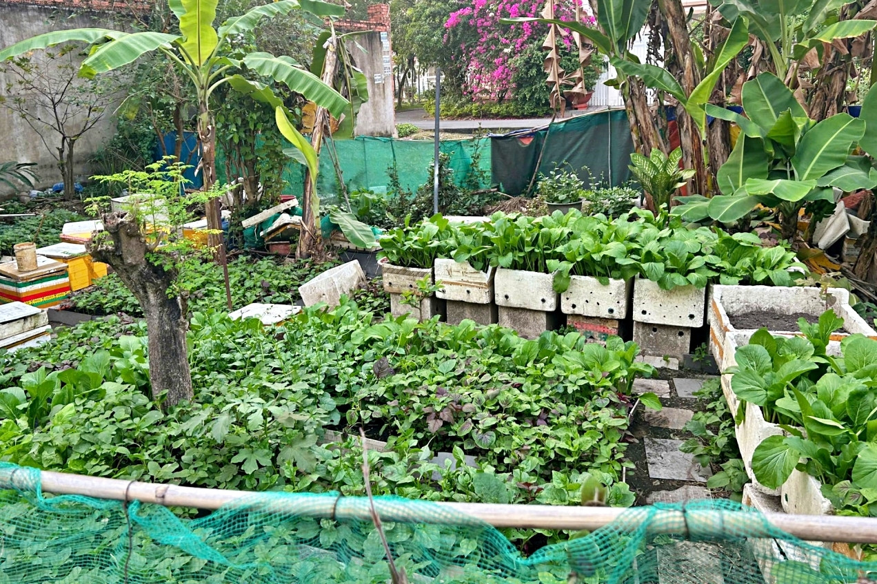 Mạnh dạn mở lời vì con, người mẹ nhút nhát nhận niềm vui bất ngờ từ hàng xóm