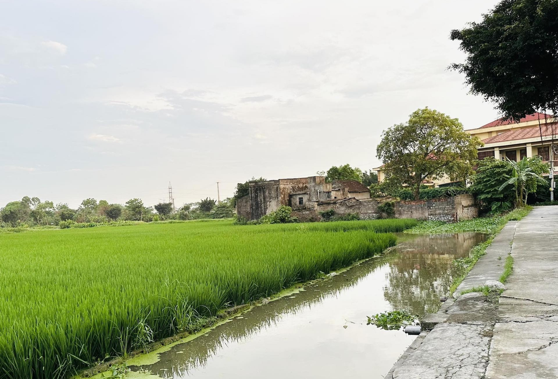 Mua đất ruộng bằng giấy viết tay, xây nhà từ năm 1992 có được cấp sổ đỏ?