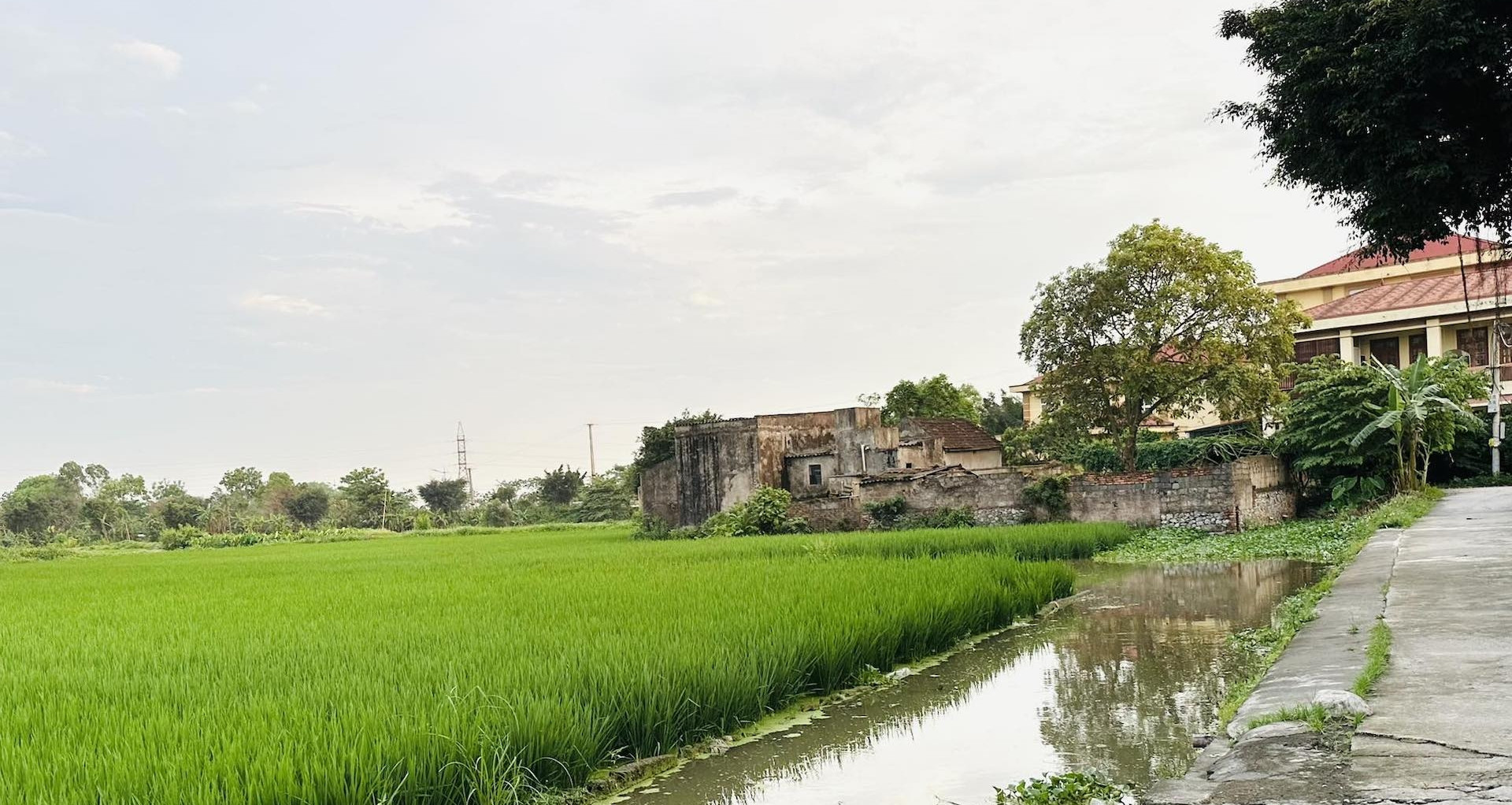 Mua đất ruộng bằng giấy viết tay, xây nhà từ năm 1992 có được cấp sổ đỏ?