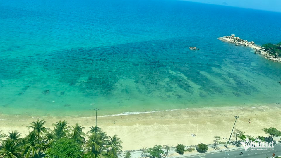 W-đại dương.jpg