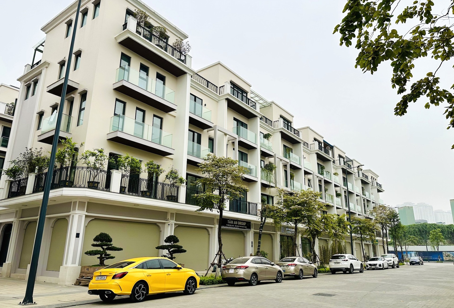 Biệt thự khu đô thị mới Đại Kim - Định Công rao bán tới 580 triệu/m2