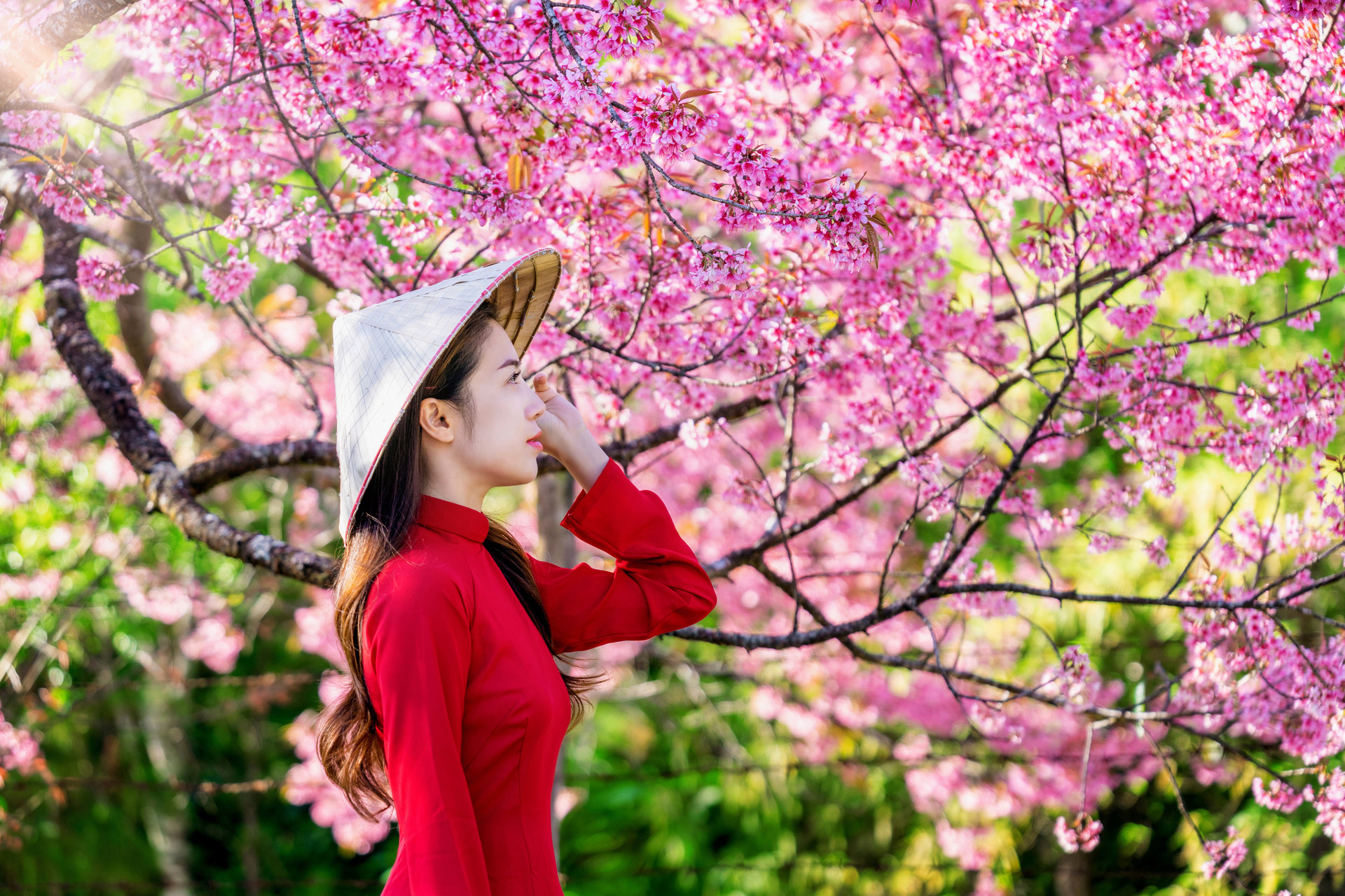 woman wearing vietnam culture traditional cherry blossom park (1).jpg