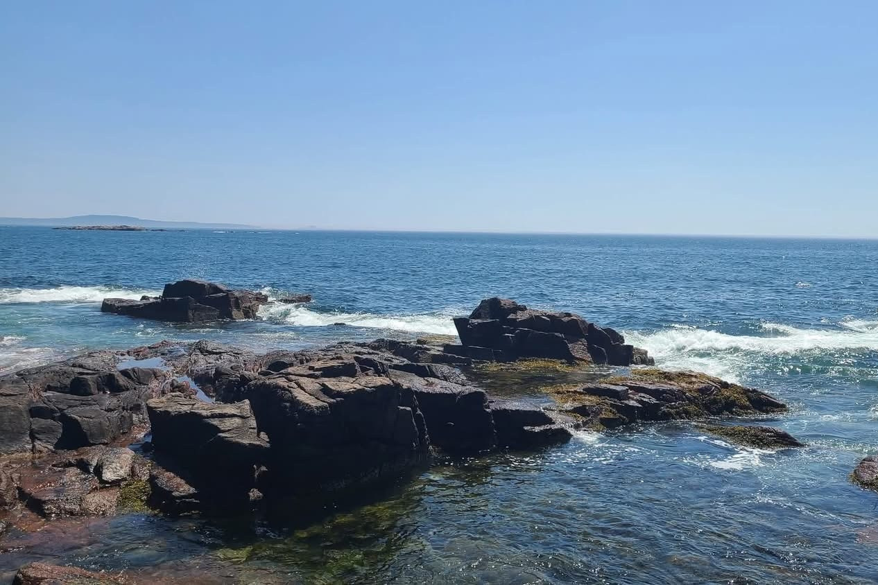 Cam kết cùng nhau thực hiện những nghĩa vụ hợp tác được UNCLOS quy định