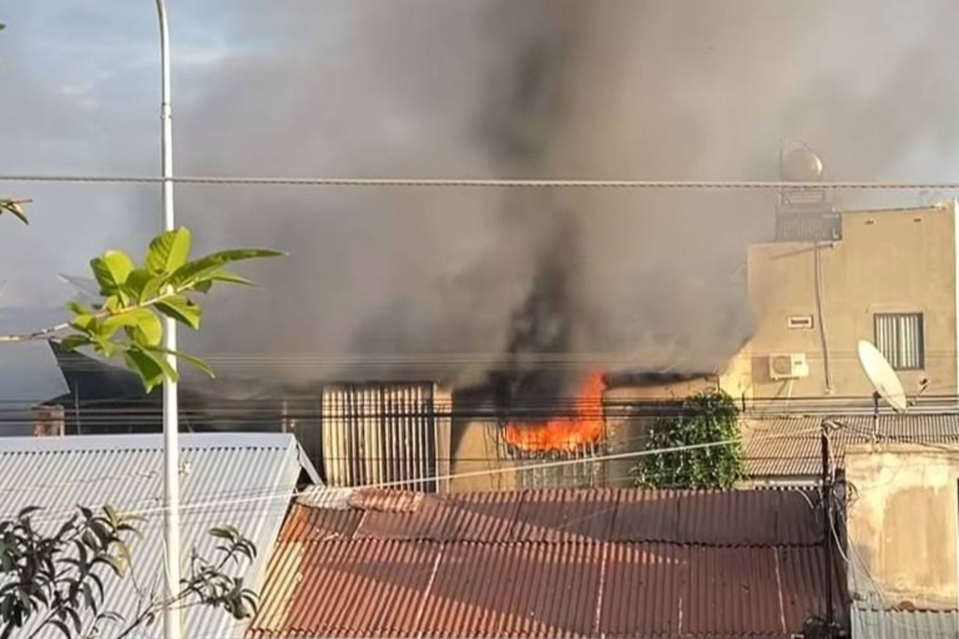 chay long khanh (1).jpg