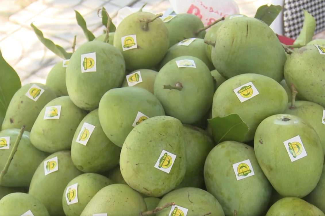 Chuẩn hoá mã số vùng trồng, tăng sức cạnh tranh cho nông sản Sơn La