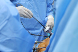 Mổ ruột thừa, bác sĩ bất ngờ phát hiện ung thư hiếm gặp Cô giáo hiến gan cứu chồng mắc ung thư