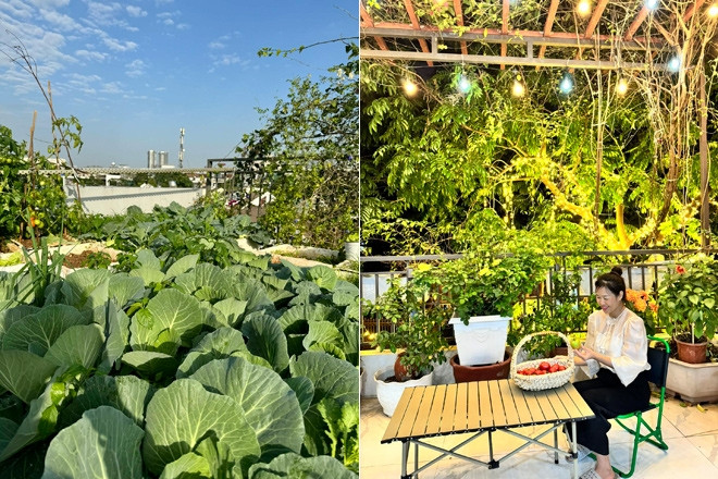 Mẹ đảm biến sân thượng 25m2 thành vườn rau xanh mướt giữa lòng Hà Nội