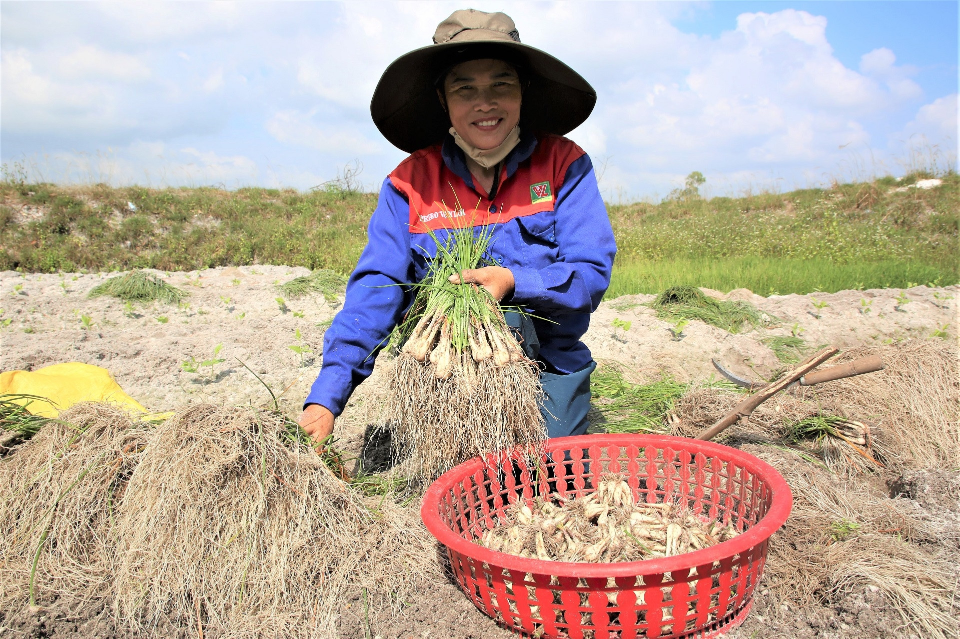 'Thủ phủ' kiệu vào vụ Tết: Nhổ đến đâu, thương lái cân mua đến đó