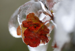 Tin không khí lạnh mới nhất: Miền Bắc ghi nhận hàng loạt điểm dưới 10 độ