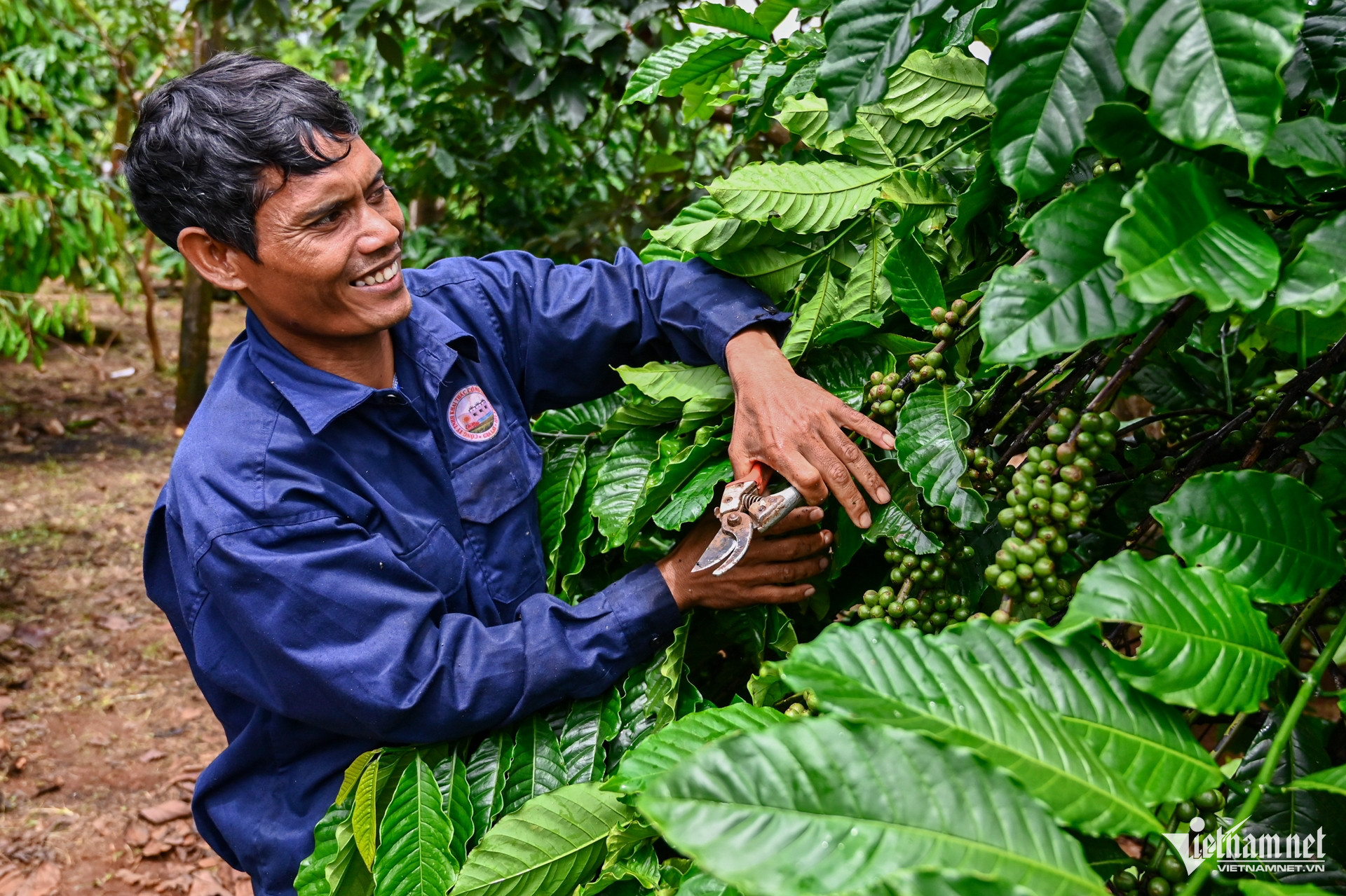 W-cà phê  nguyễn huế 7922.jpg