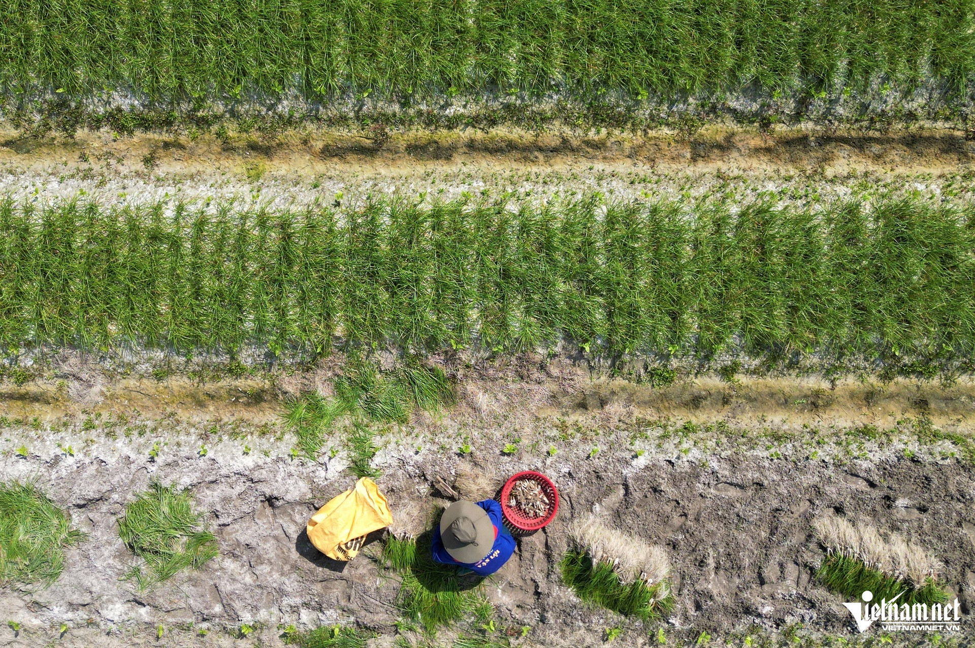 W-DJI_0853 (2).JPG.jpg