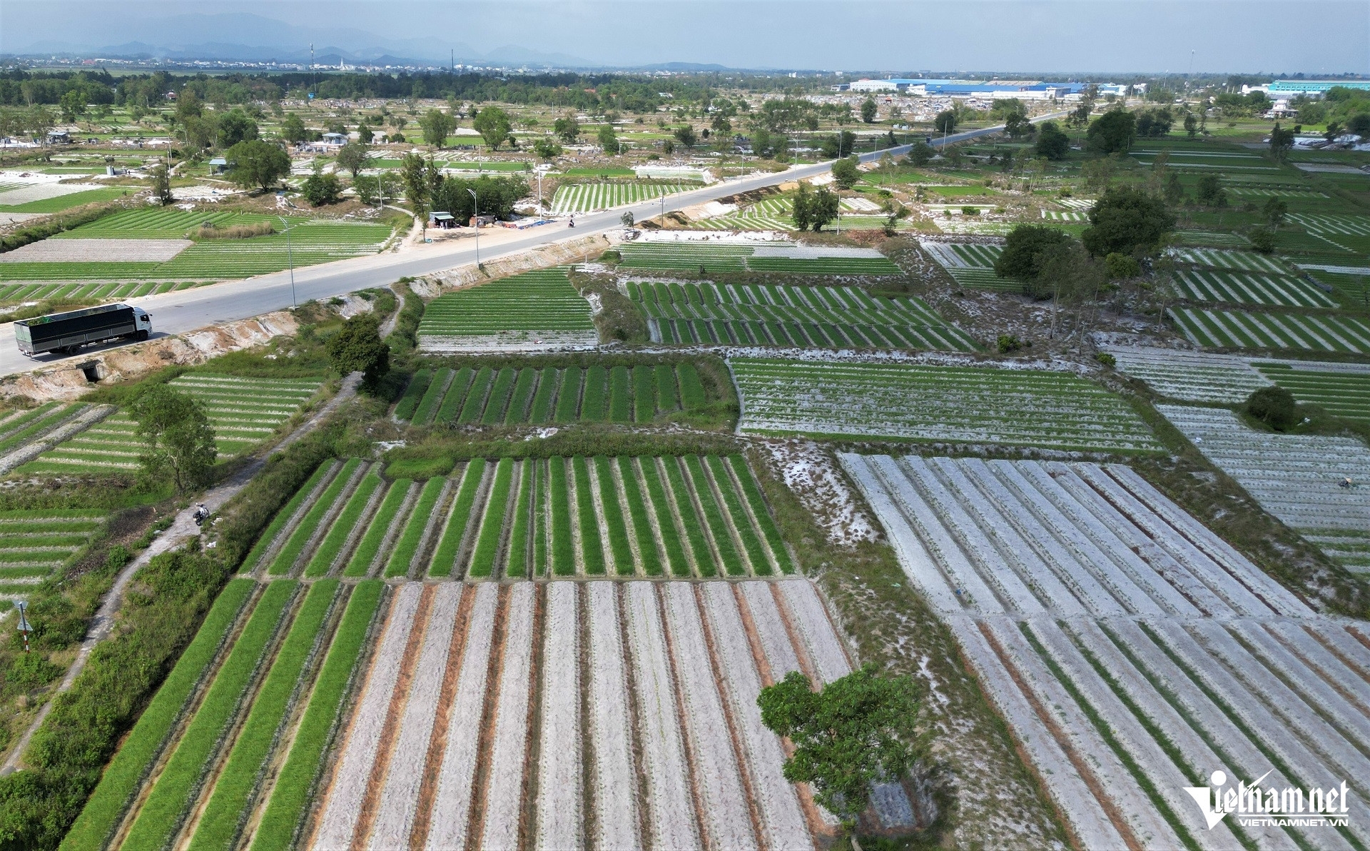 W-DJI_0862 (2).JPG.jpg