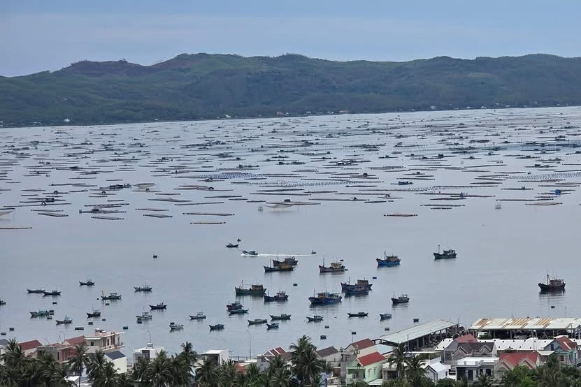 Cam kết của Việt Nam đối với ITLOS và UNCLOS thể hiện qua các hành động cụ thể