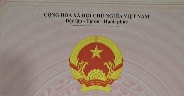 Cha mẹ qua đời chưa kịp chia đất, em út tự ý làm sổ đỏ đứng tên riêng