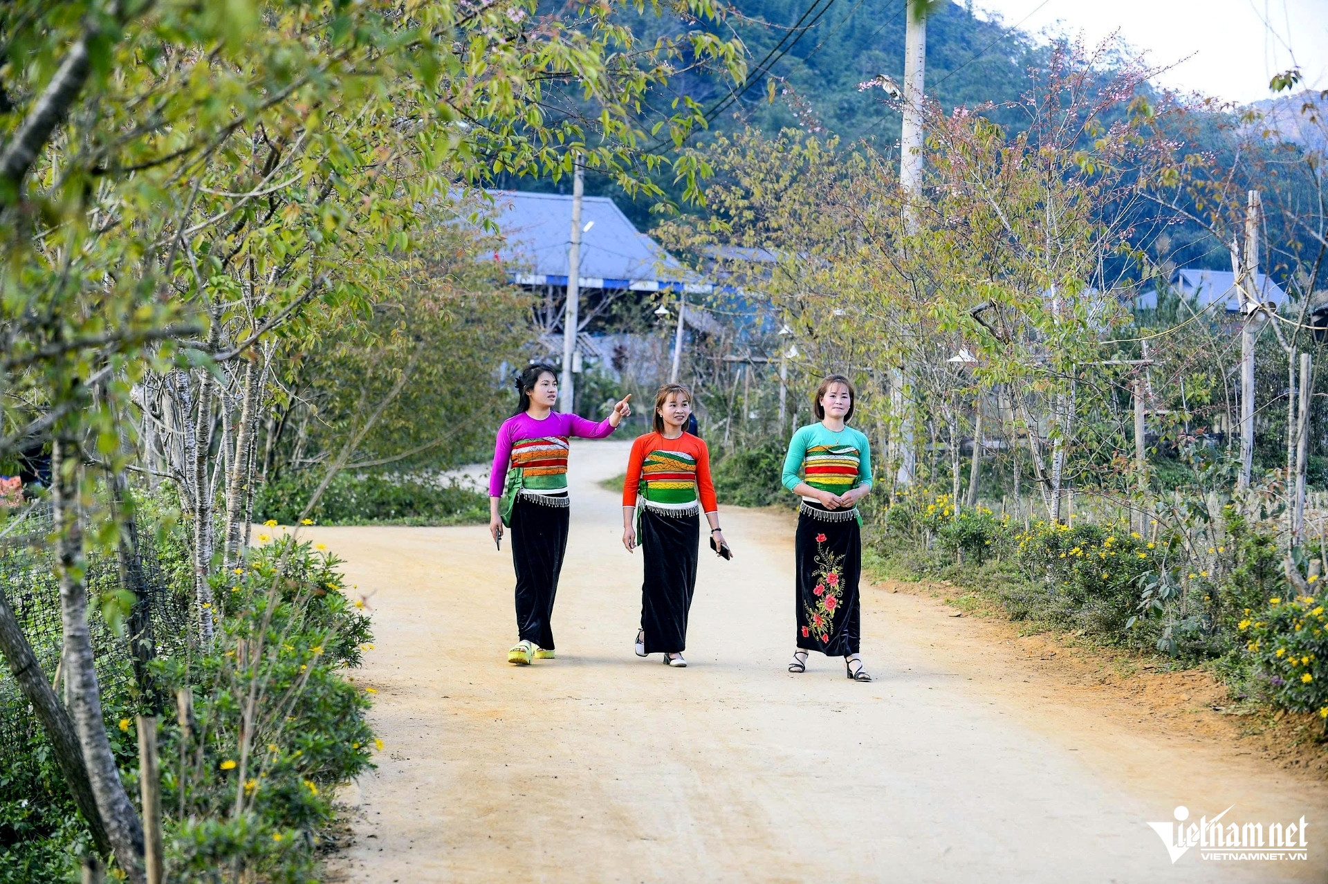 W-a2Xuân sớm ở vùng cao xứ Thanh.jpg