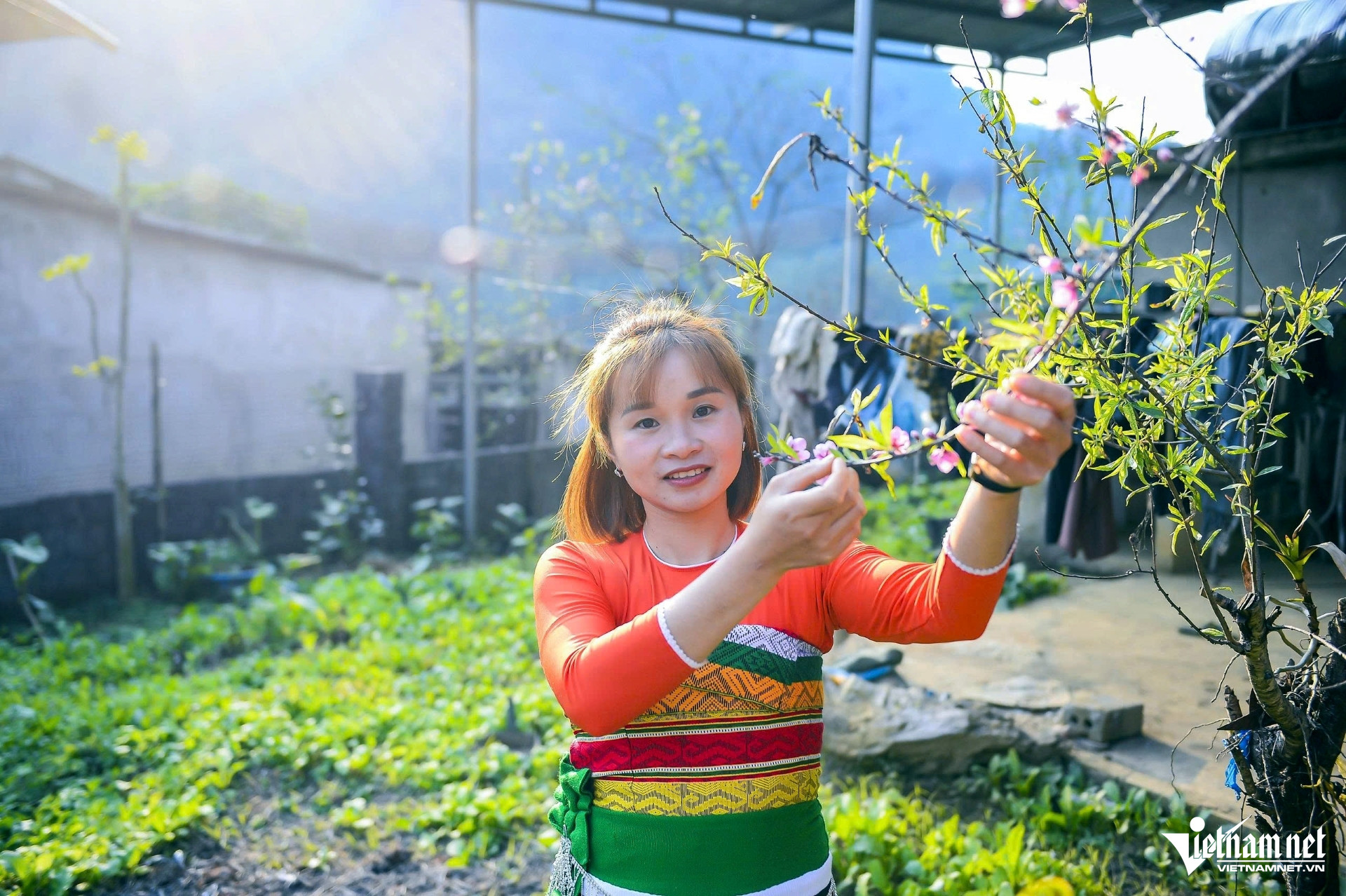 Cô gái Thái chụp ảnh bên hoa đào