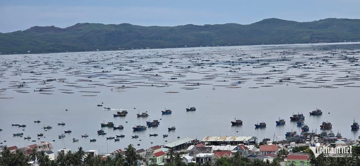 W-đại dương hoà bình.JPG.jpg