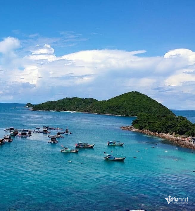 W-Đại dương.JPG.jpg