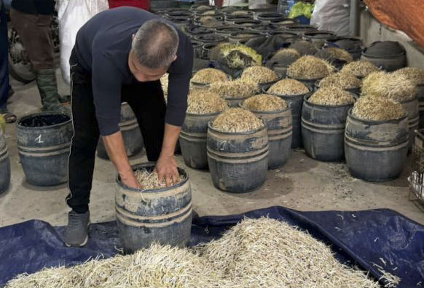 Danh tính hai chủ cơ sở sản xuất gần 3 tấn giá đỗ dùng chất cấm tại Hưng Yên