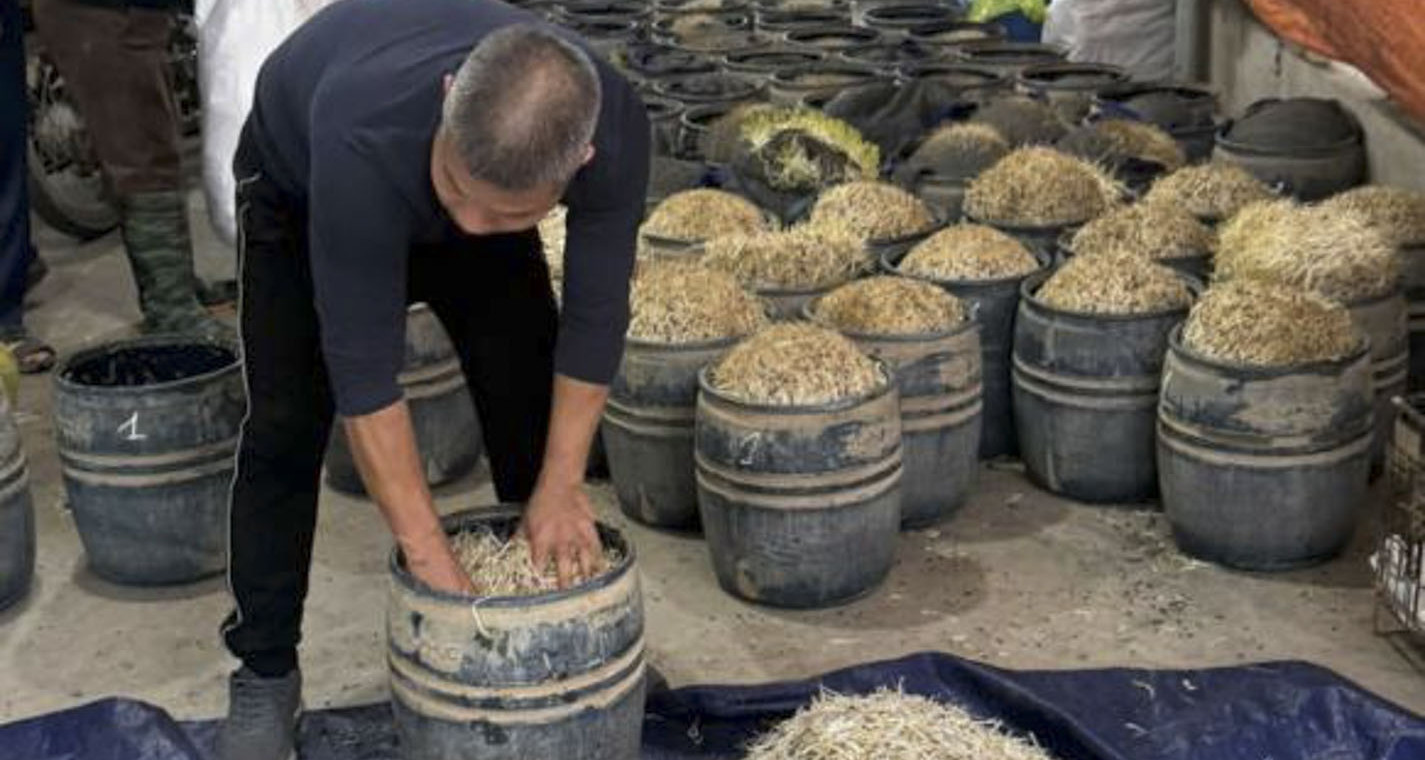 Danh tính hai chủ cơ sở sản xuất gần 3 tấn giá đỗ dùng chất cấm tại Hưng Yên