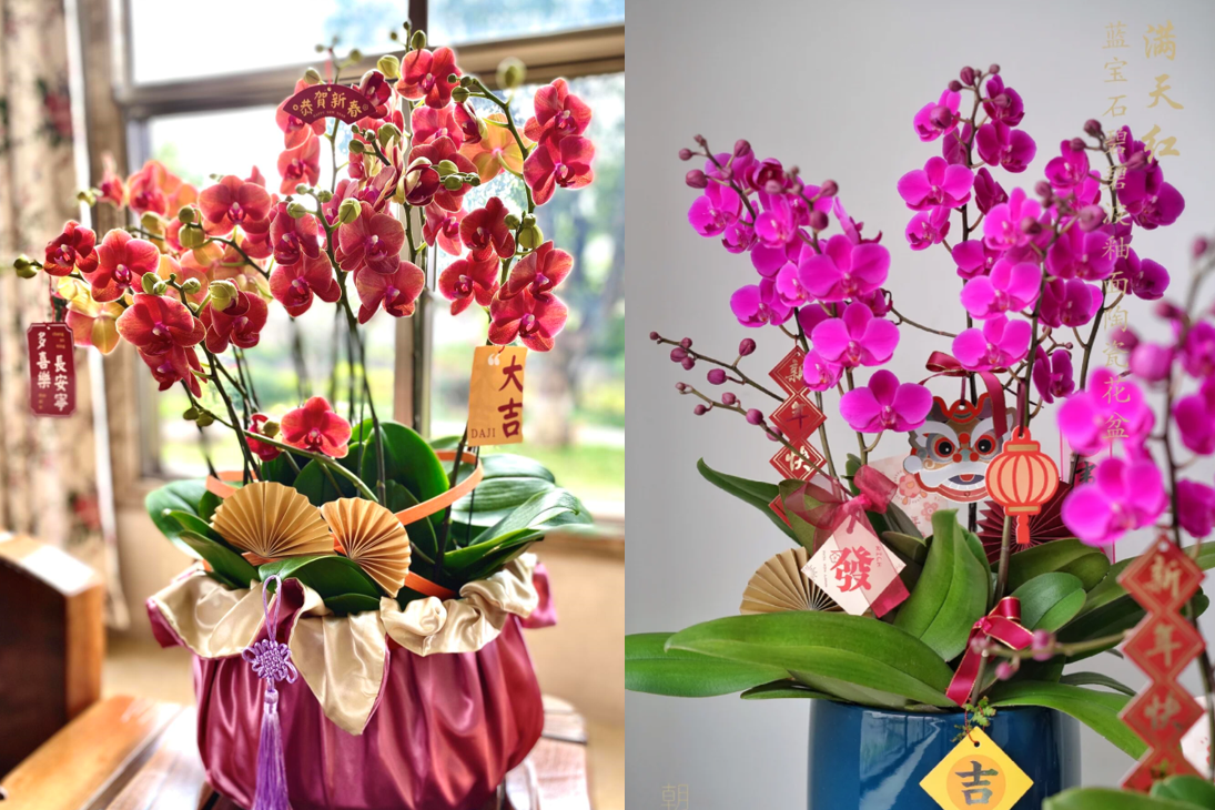 Hoa Tết hợp mệnh gia chủ: Chọn đúng để đón lộc, tránh xung khí đầu năm