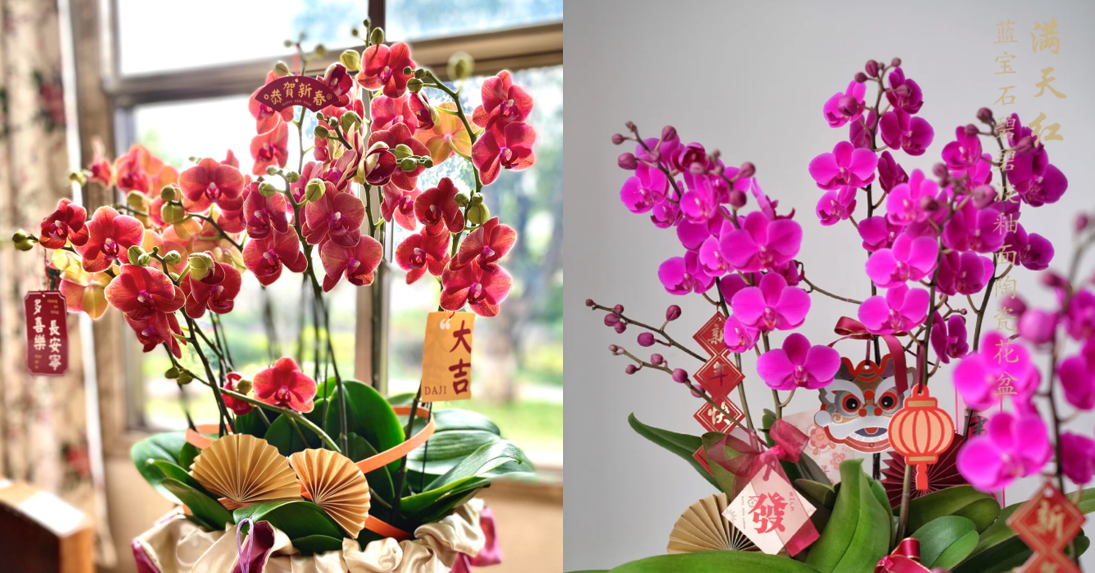 Hoa Tết hợp mệnh gia chủ: Chọn đúng để đón lộc, tránh xung khí đầu năm