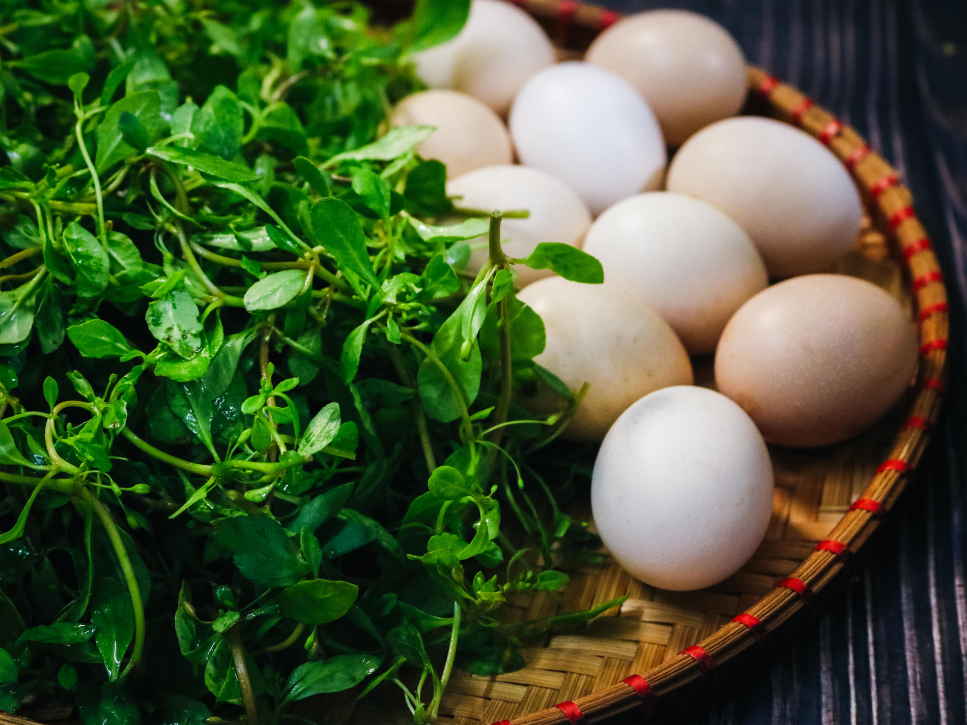 rau đắng đất đặng tài giỏi.png